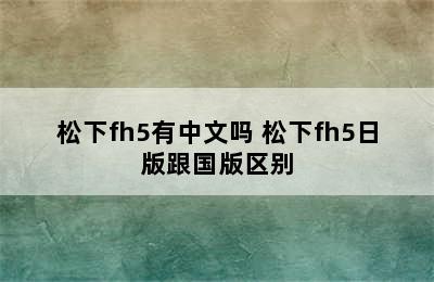 松下fh5有中文吗 松下fh5日版跟国版区别